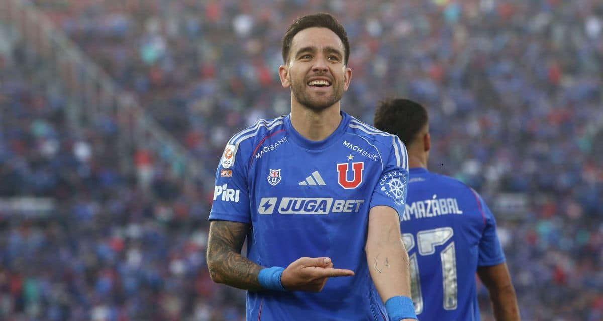 matias zaldivia udechile