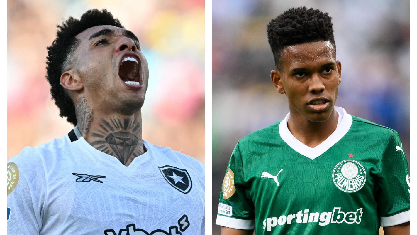 palmeiras vs botafogo