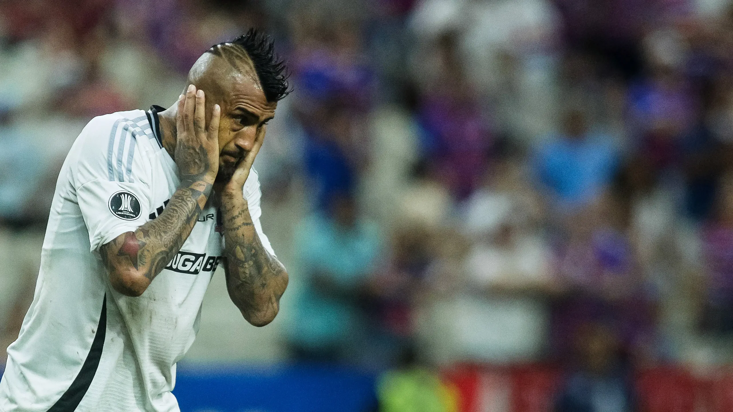 vidal colocolo