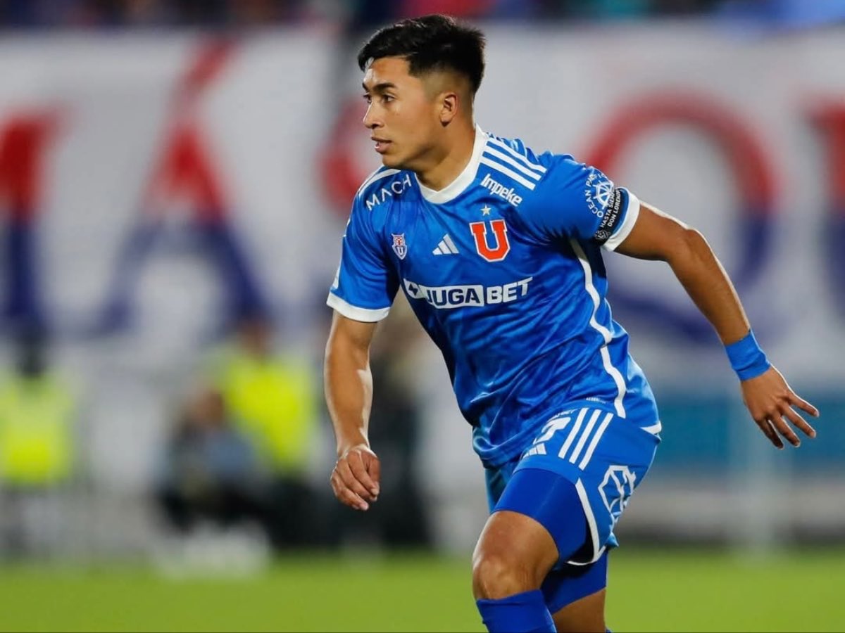 jose castro udechile