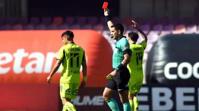 expulsion hormazabal udechile