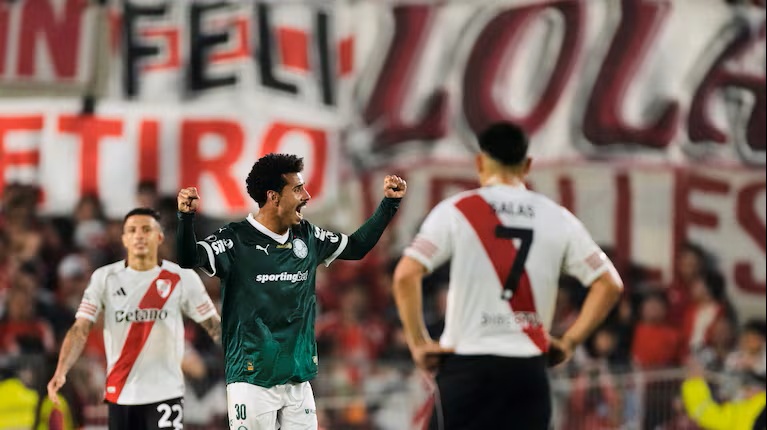 river pierde con palmeiras