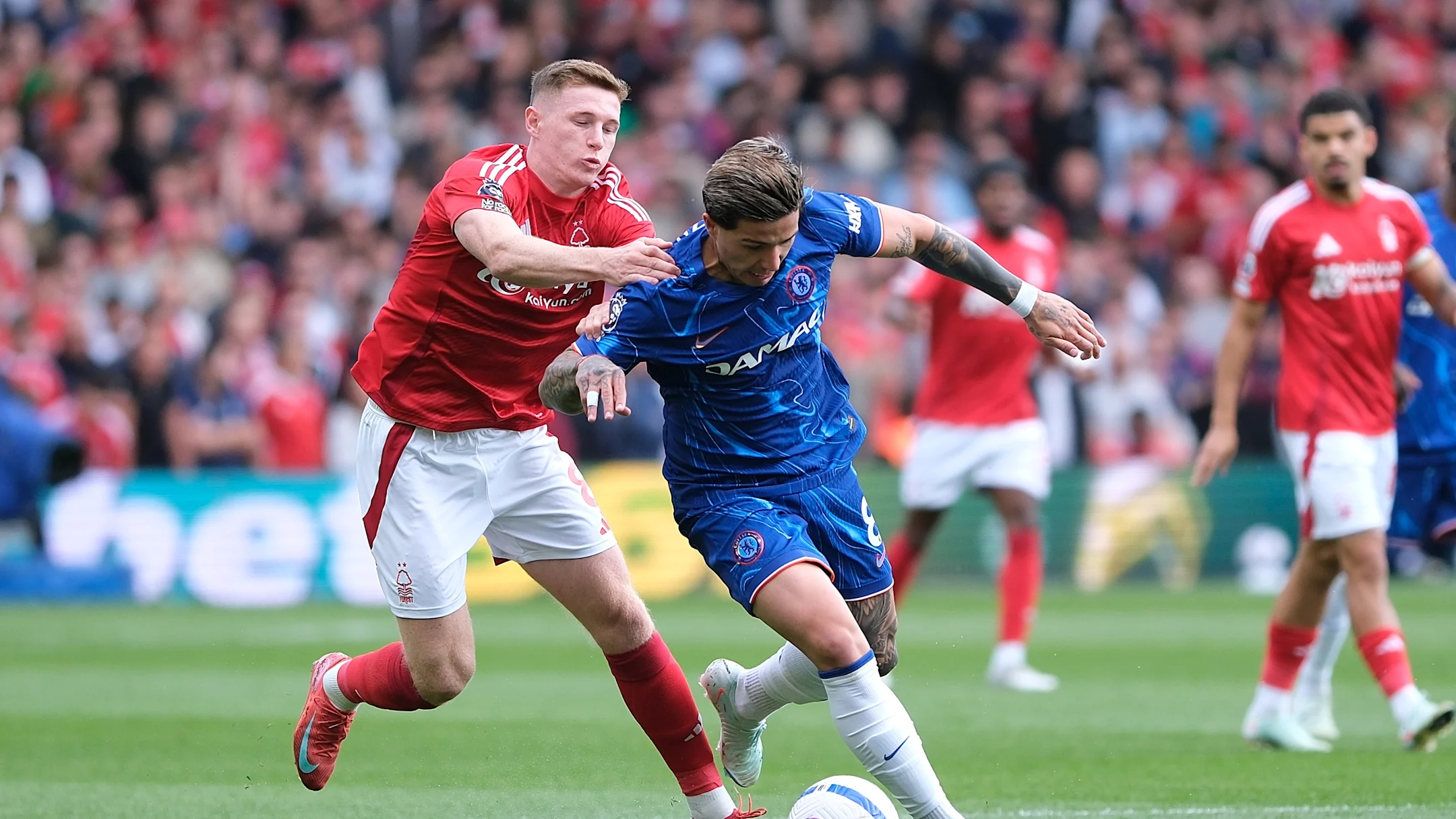 Nottinham forest vs chelsea