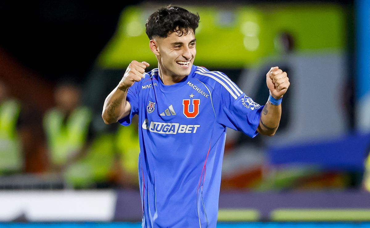 altamirano udechile