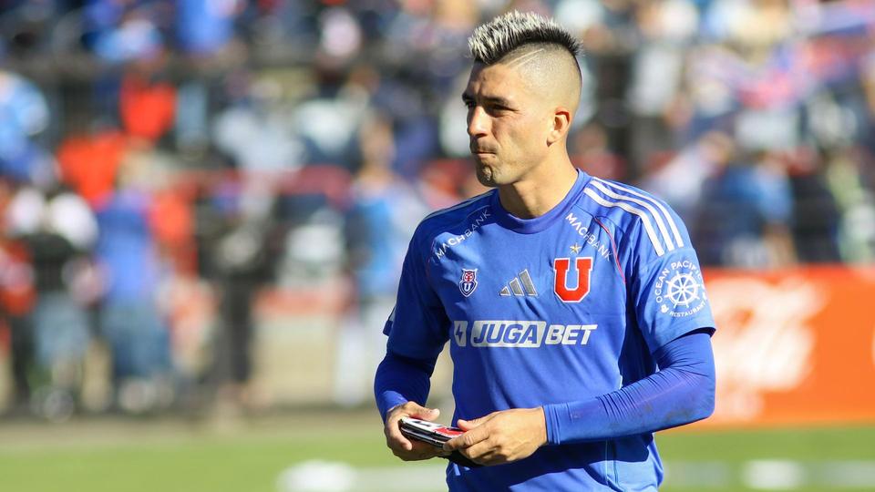 leandro fernandez udechile