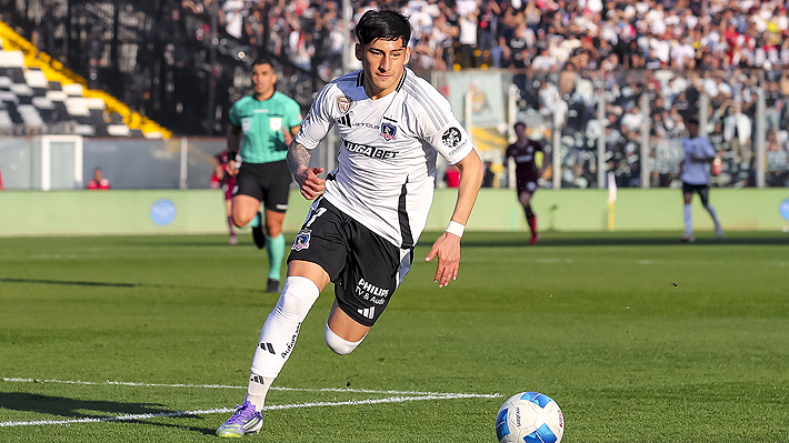marchant colocolo