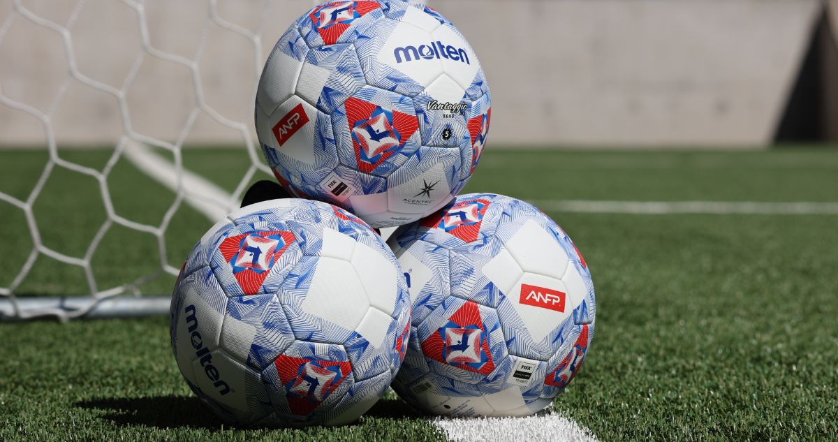 pelota oficial campeonato nacional 26