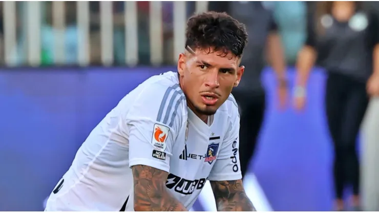 saldivia colocolo