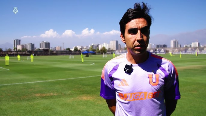 meneghini udechile