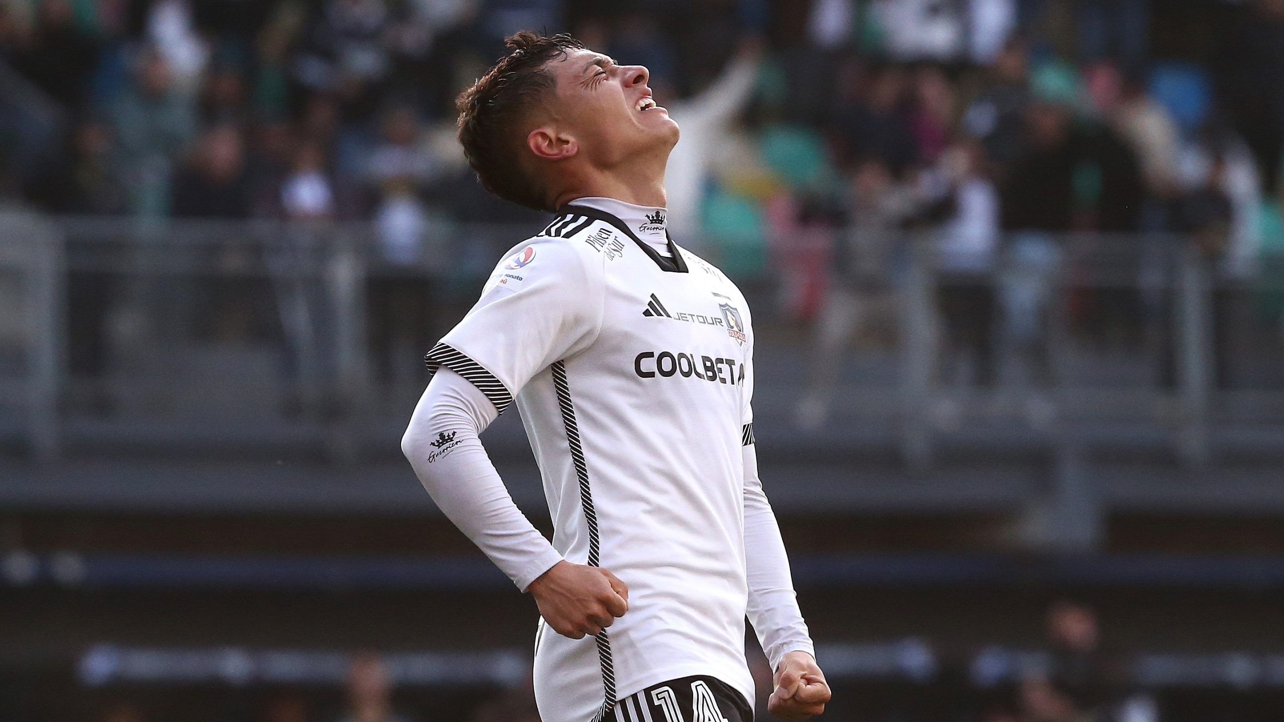 zavala colocolo