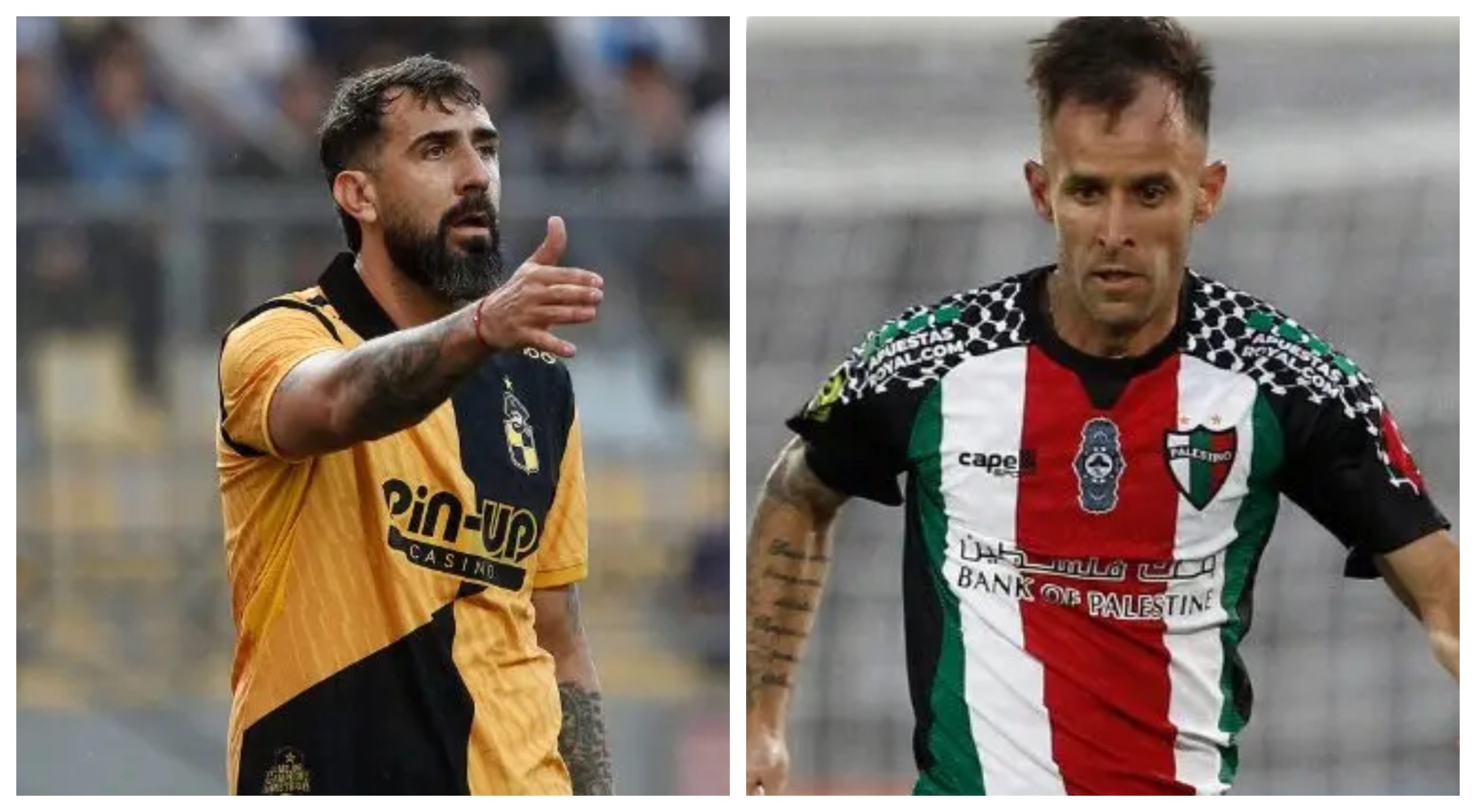 coquimbo vs palestino