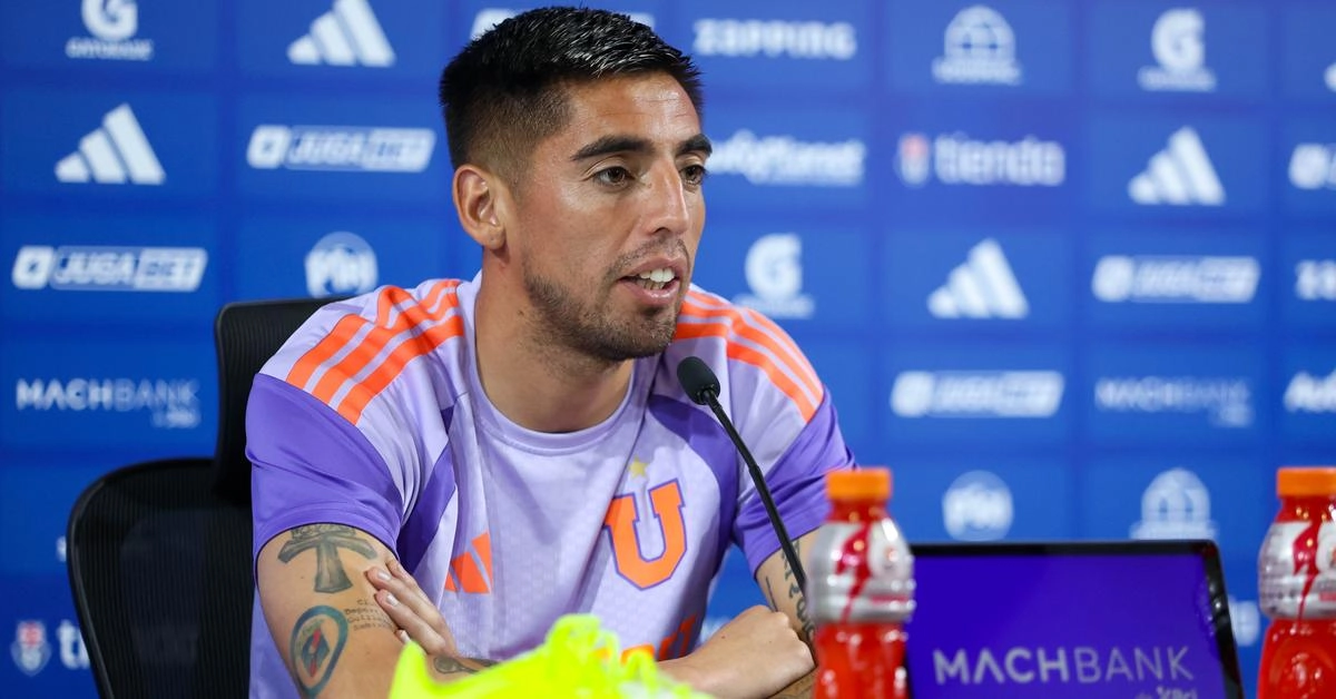 gabriel castellon udechile