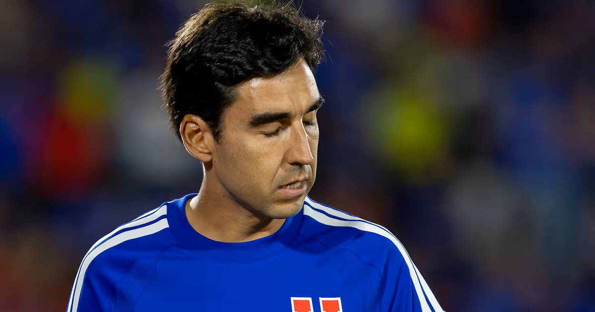meneghini udechile