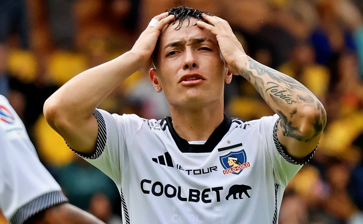 zavala colocolo