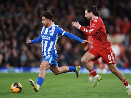 Brighton vs liverpool partido