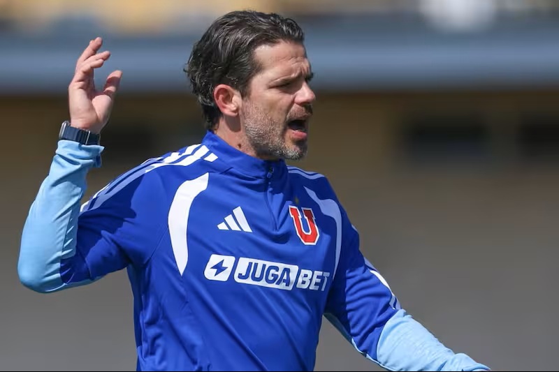 fernando gago udechile