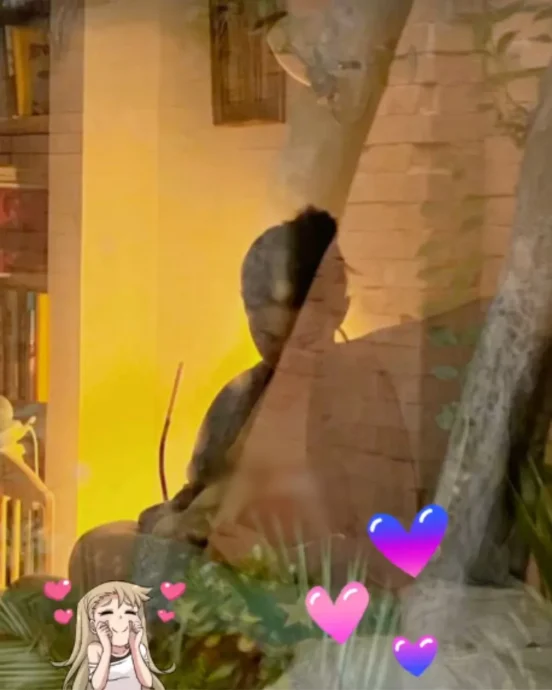 hija mariana di girolamo