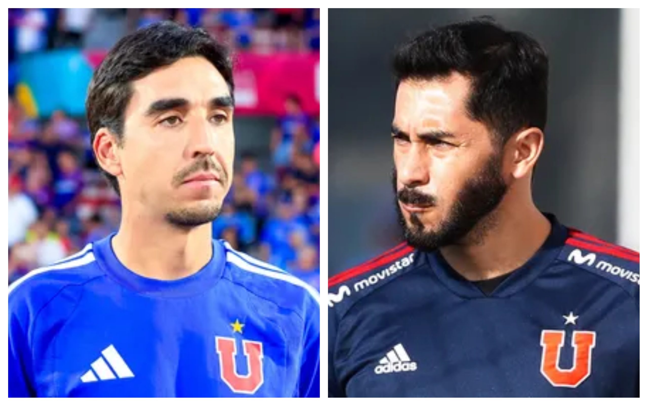 herrera y meneghini