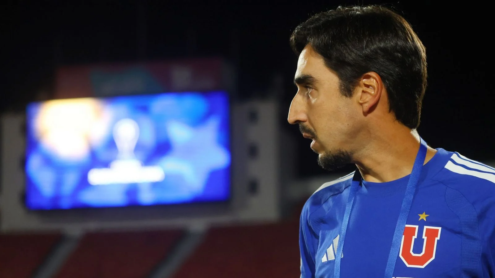 meneghini udechile