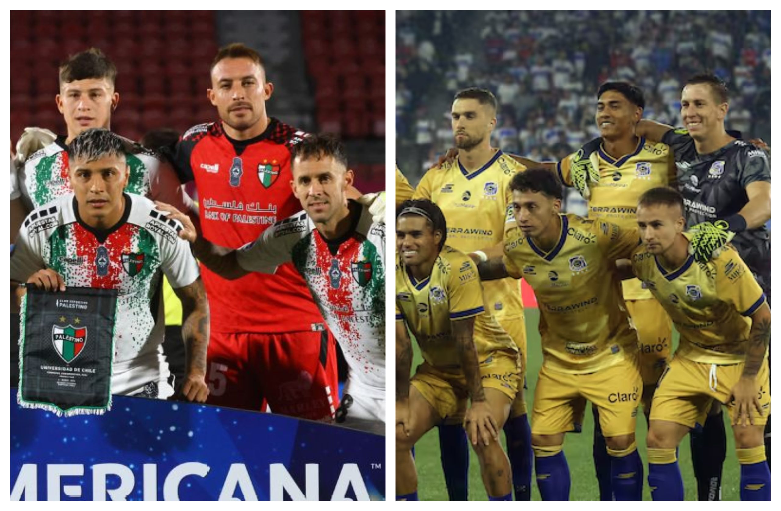 palestino vs everton