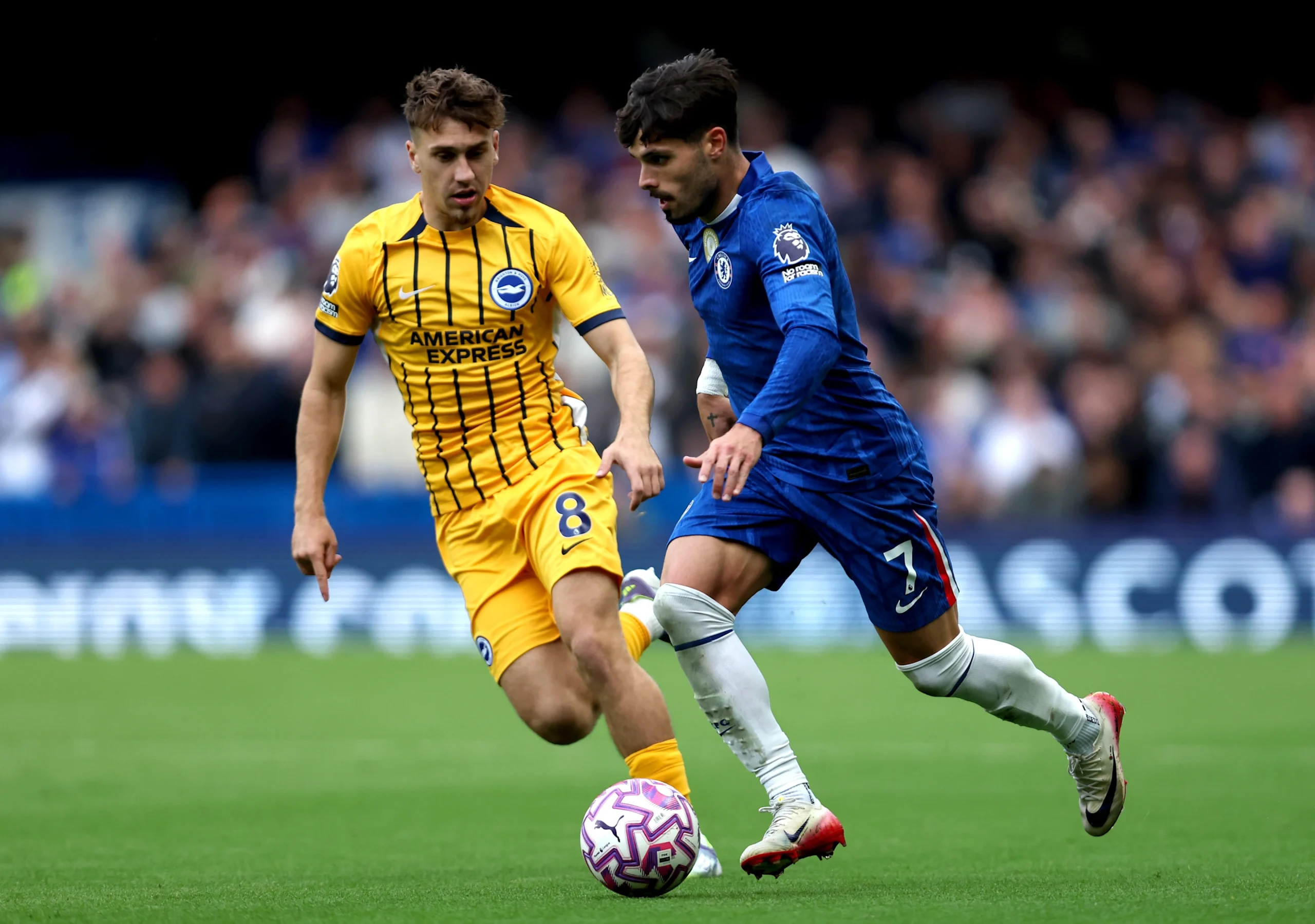 Brighton v chelsea