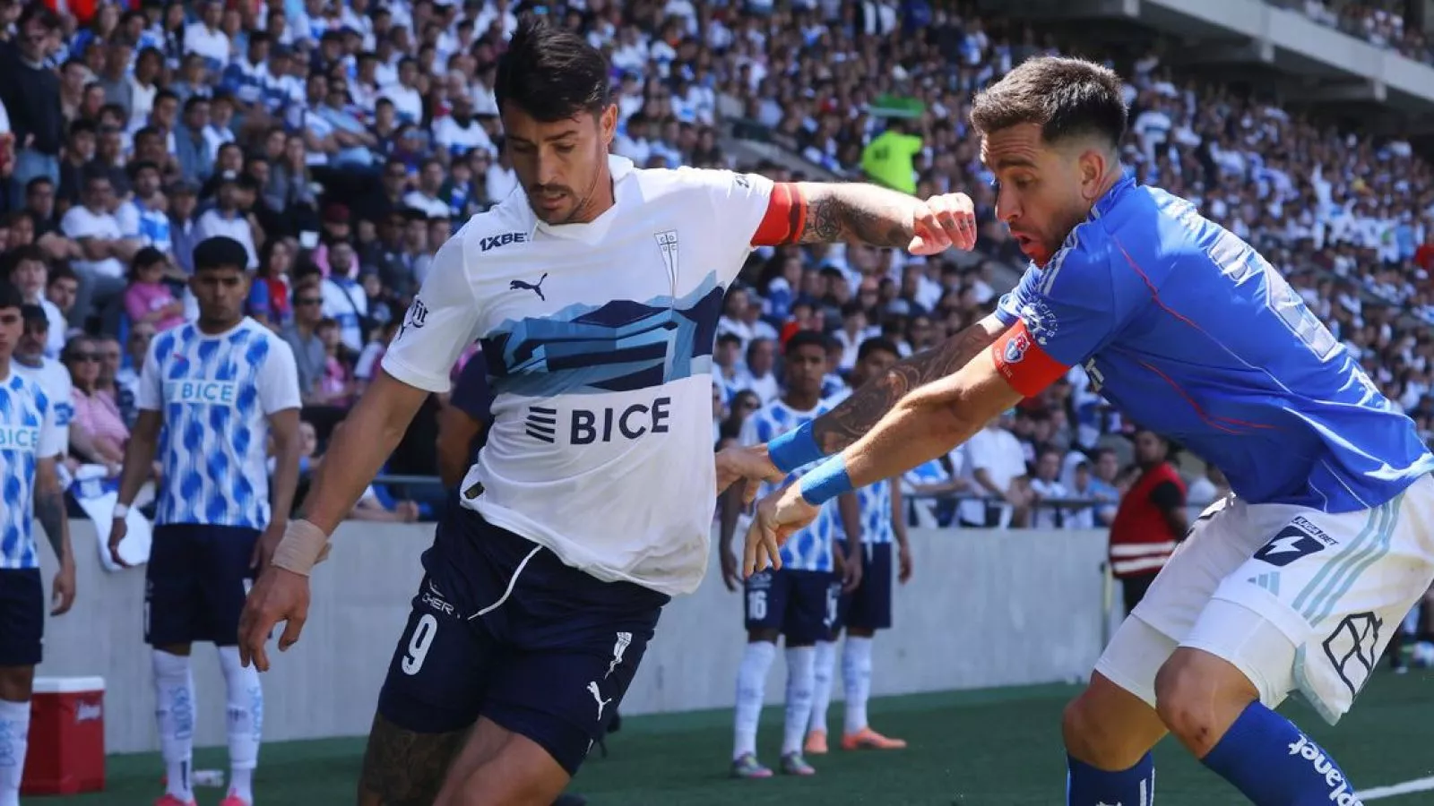 clasico universitario