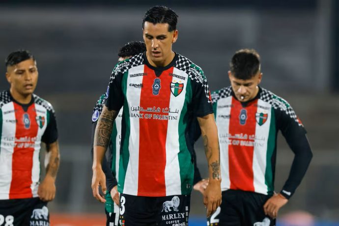 enzo rocco palestino