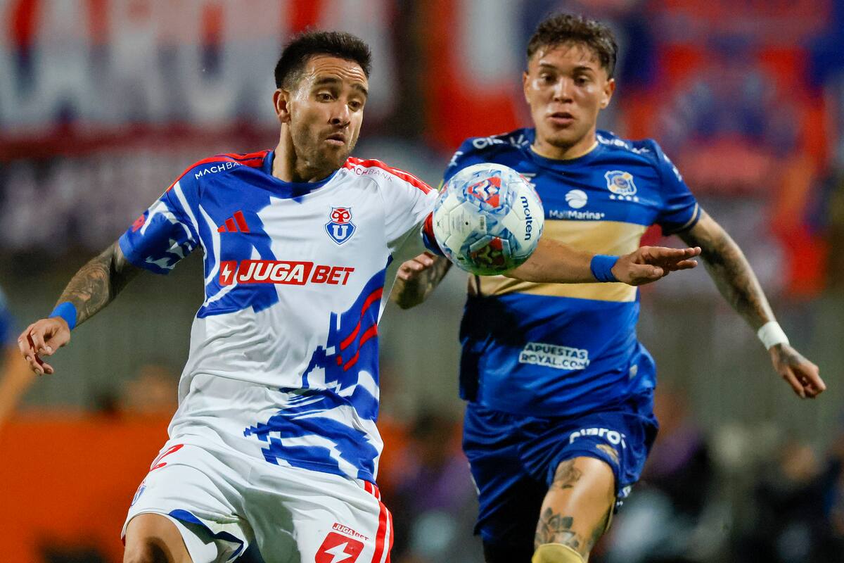 zaldivia udechile