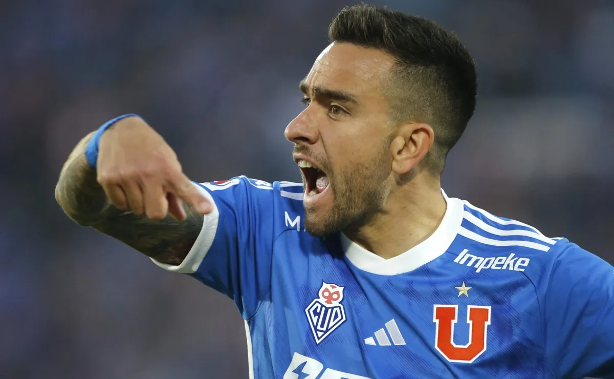 zaldivia udechile