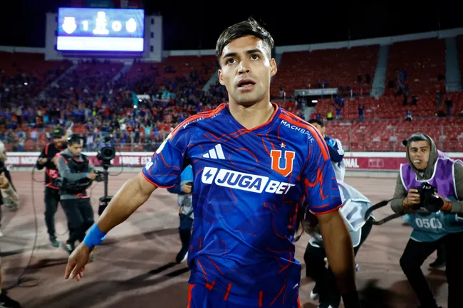 fabian hormazabal udechile