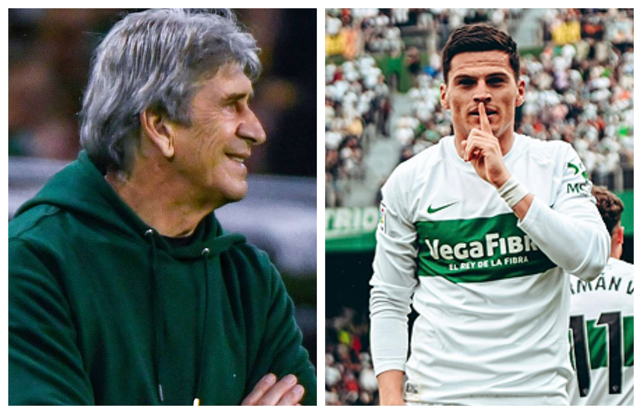 pellegrini y cepeda
