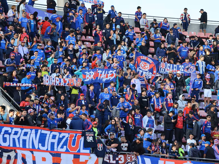 hinchas udechile