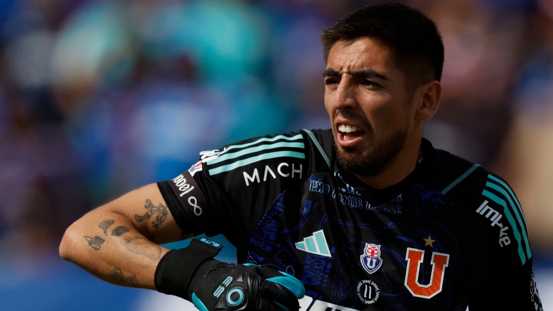 gabriel castellon udechile