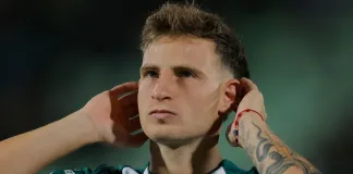 bruno b