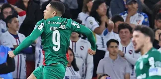 palmeiras
