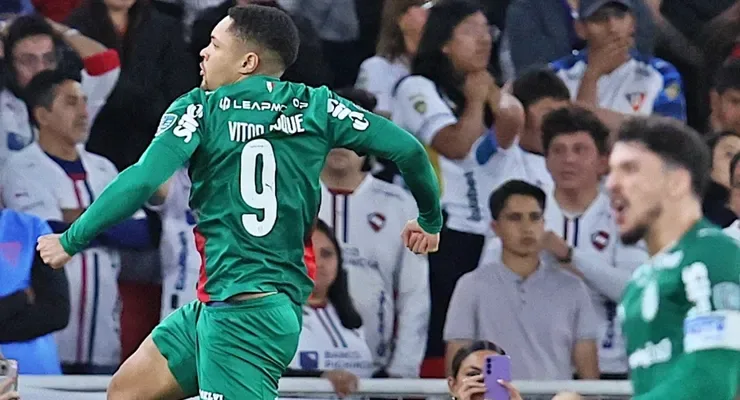 palmeiras