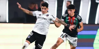 colo colo vs palestino