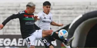 colo colo vs palestino