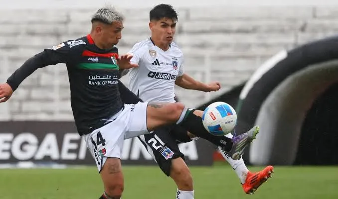 colo colo vs palestino
