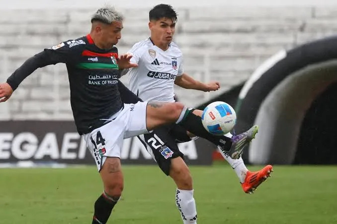 colo colo vs palestino